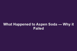 What Happened to Aspen Soda — Why it Failed